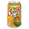 Oasis Tropical