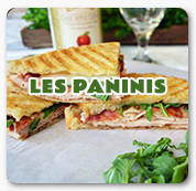 cat_paninis